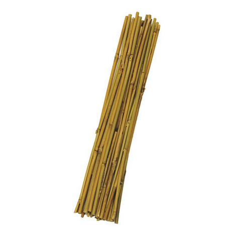 2' BAMBOO STAKE- 25 PC