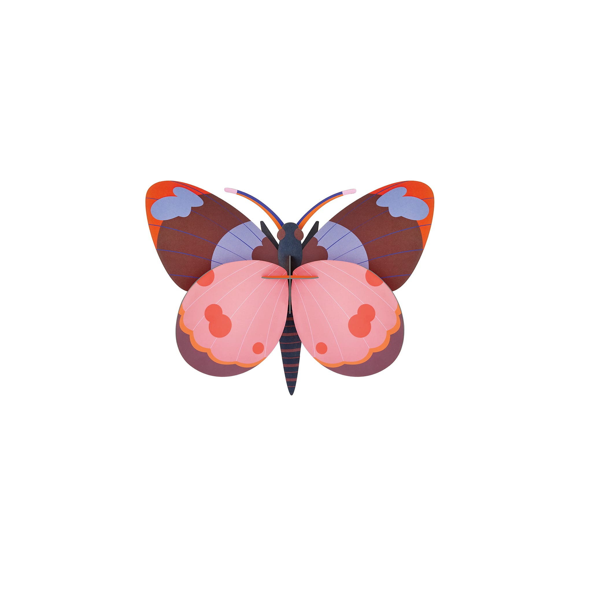 Bellissima Butterfly