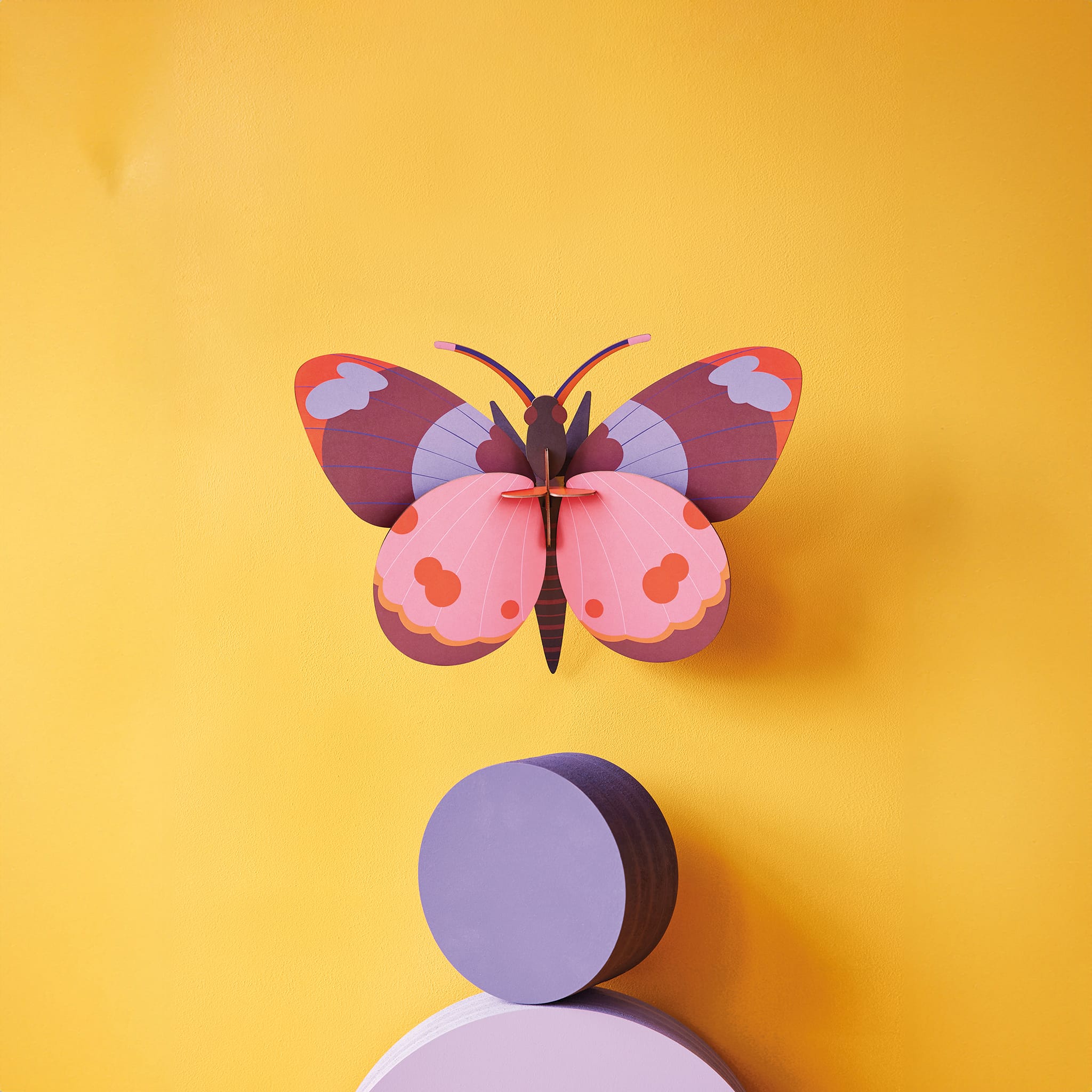 Bellissima Butterfly