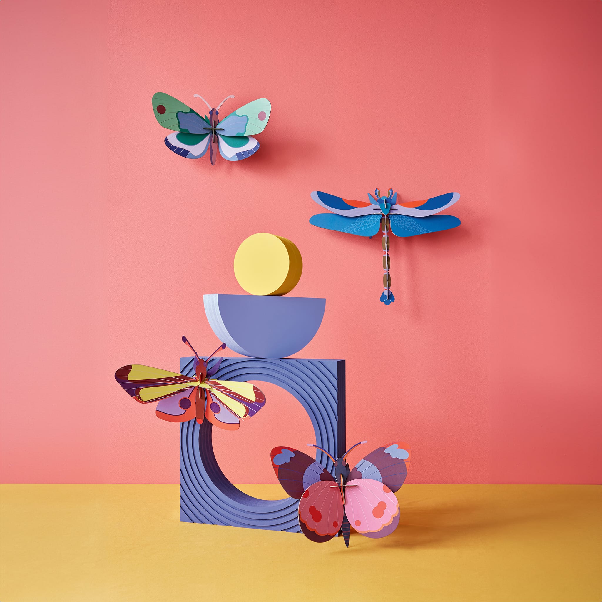 Bellissima Butterfly