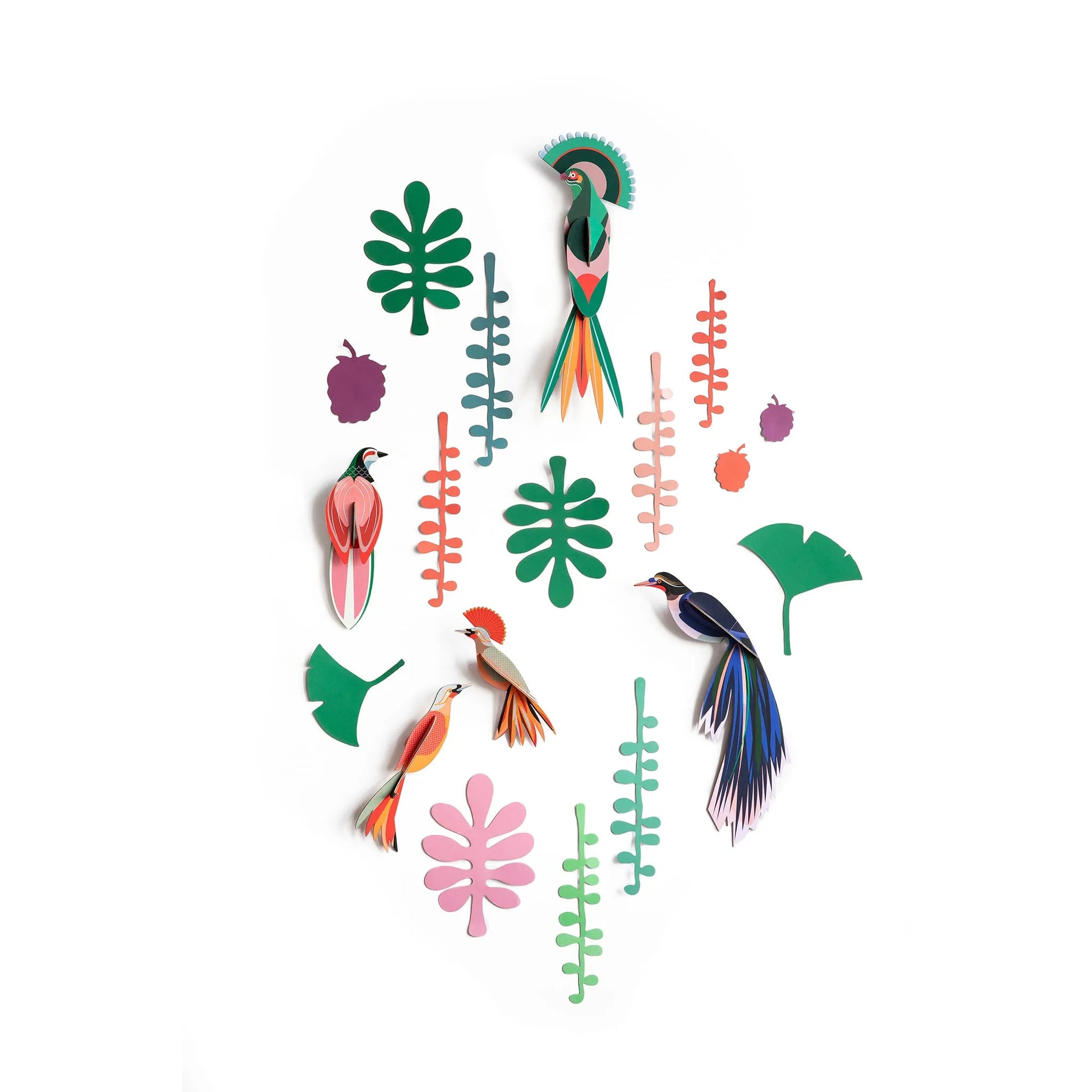 Bird Observer Nüline Distribution Cardboard Cutouts art-noise.myshopify.com bird-observer Bird Observer Nüline Distribution Cardboard Cutouts art-noise.myshopify.com bird-observer