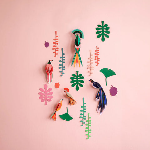 Bird Observer Nüline Distribution Cardboard Cutouts art-noise.myshopify.com bird-observer Bird Observer Nüline Distribution Cardboard Cutouts art-noise.myshopify.com bird-observer