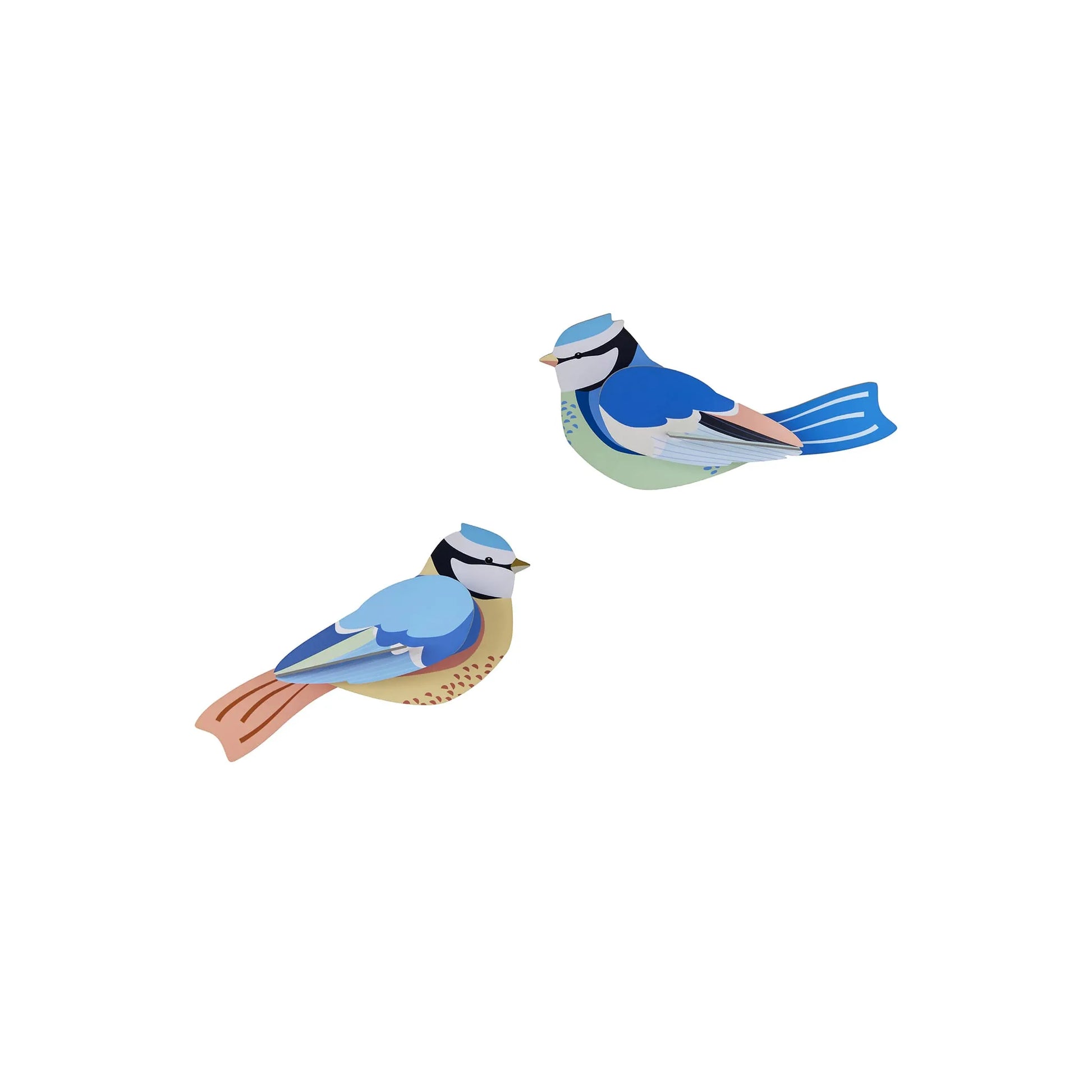 Blue Tits Nüline Distribution Cardboard Cutouts art-noise.myshopify.com blue-tits Blue Tits Nüline Distribution Cardboard Cutouts art-noise.myshopify.com blue-tits