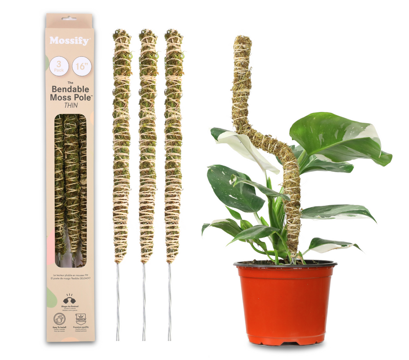 The Bendable Moss Pole™ 𝘛𝘏𝘐𝘕