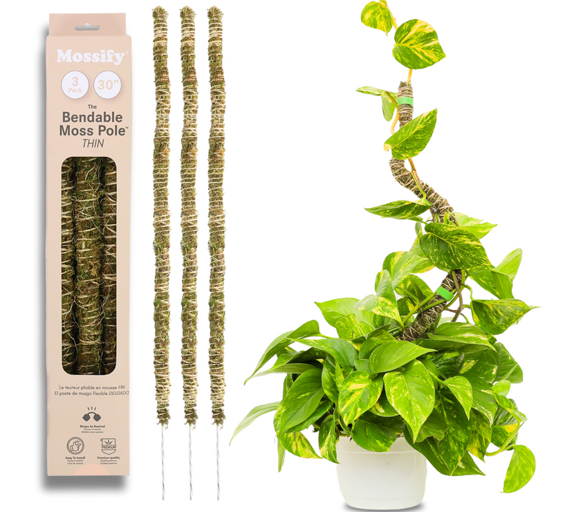 The Bendable Moss Pole™ 𝘛𝘏𝘐𝘕