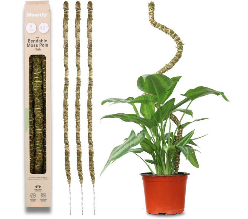 The Bendable Moss Pole™ 𝘛𝘏𝘐𝘕