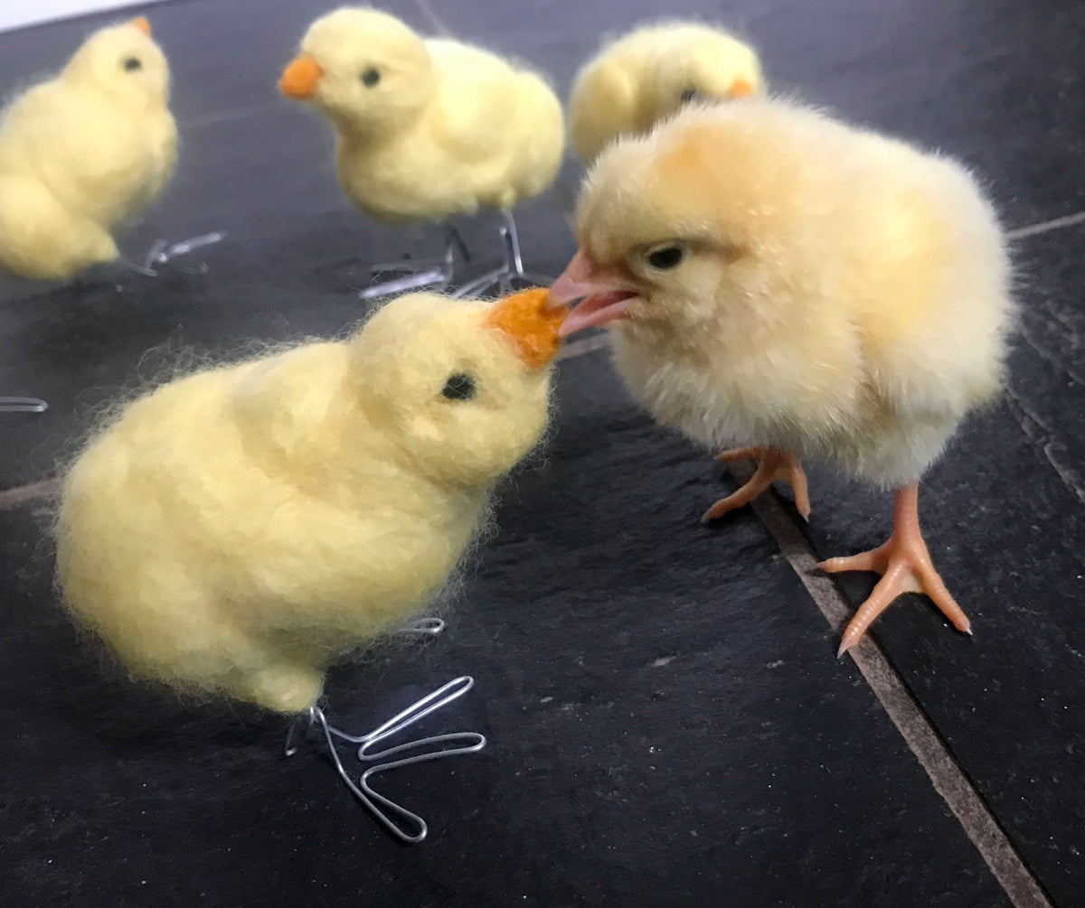 Debra Krakow: Felted Chicks - 5