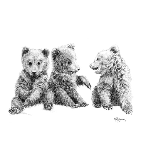 3 Brown Bear Cubs Illustration - "Social Animal" Collection LE NID atelier illustration art-noise.myshopify.com 3-brown-bear-cubs-illustration-social-animal-collection 3 Brown Bear Cubs Illustration - "Social Animal" Collection LE NID atelier illustration art-noise.myshopify.com 3-brown-bear-cubs-illustration-social-animal-collection