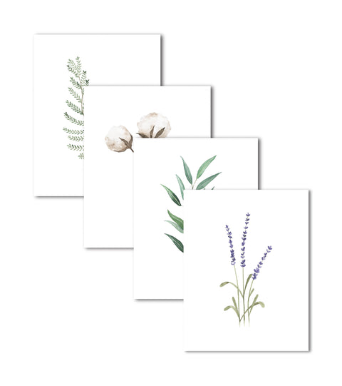 Botanical - Assorted Card Set Emma Allen Design Studio Card art-noise.myshopify.com botanical-assorted-card-set