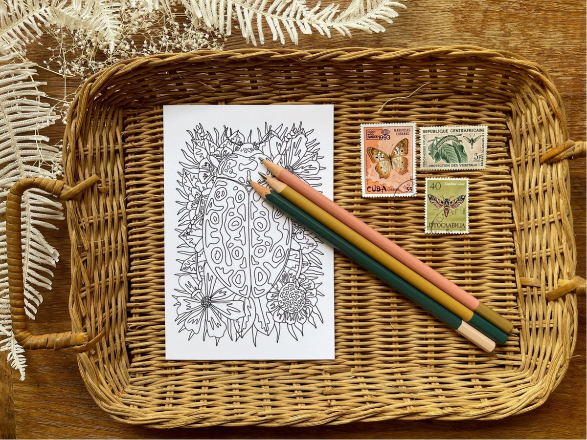 Candace Fincher Postcard Pack Colouring Sheet