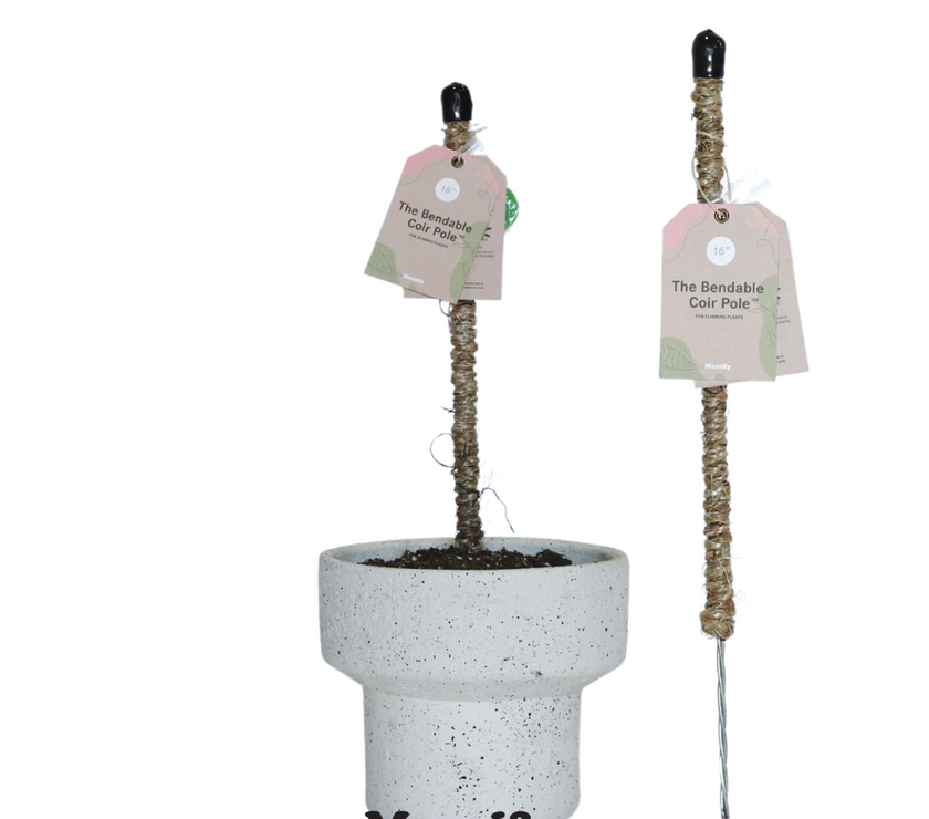 The Original Bendable Coir Pole™ - Best Seller (Tape Included)