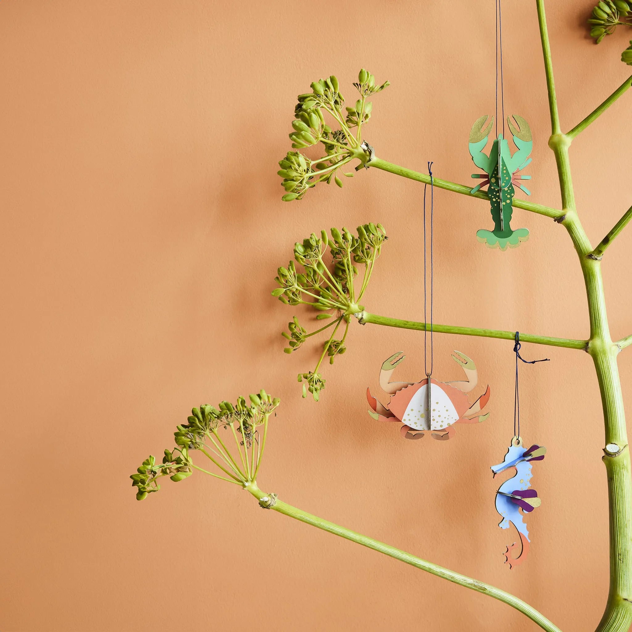 Crab Nüline Distribution Cardboard Cutouts art-noise.myshopify.com crab Crab Nüline Distribution Cardboard Cutouts art-noise.myshopify.com crab