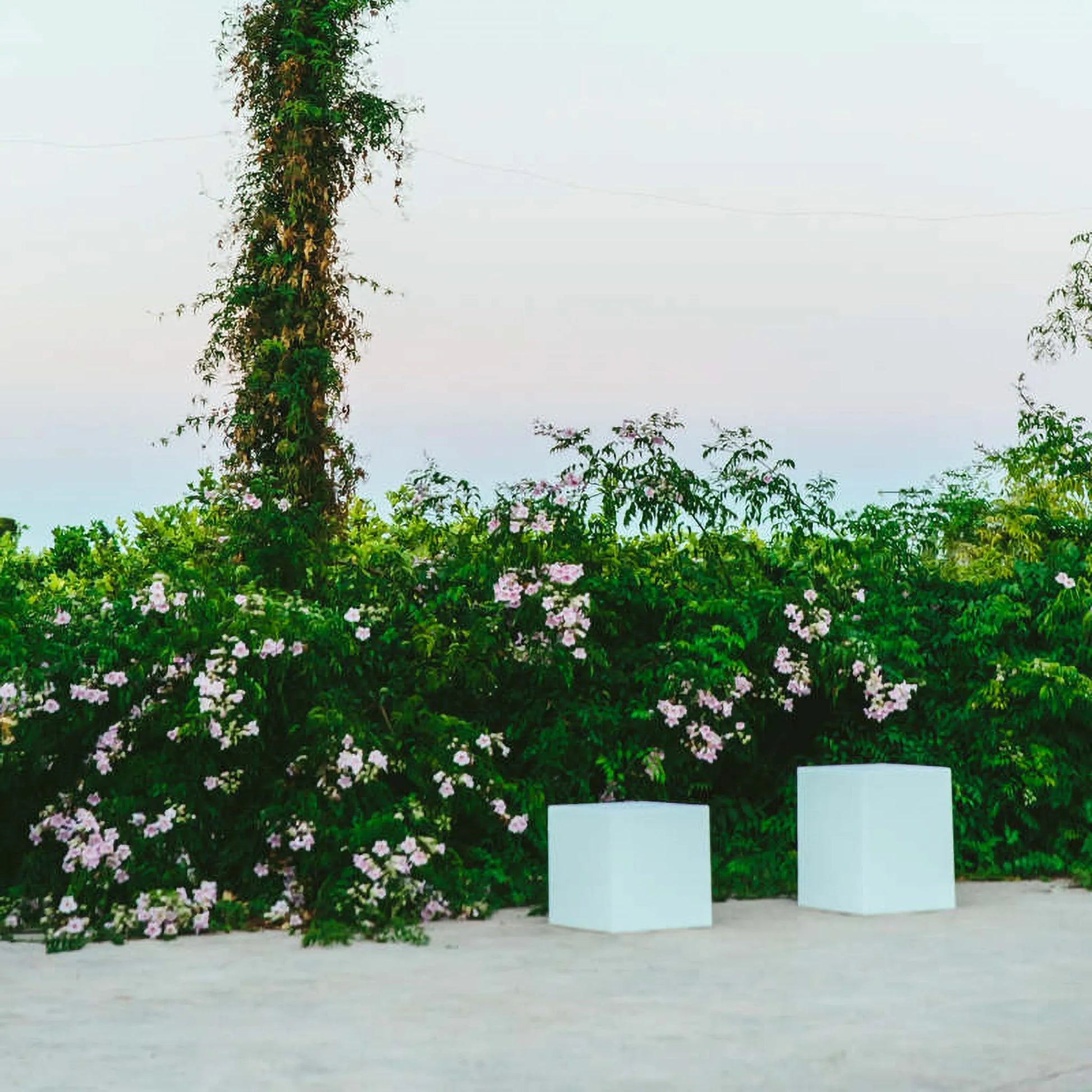 Cuby<br> Solar & Rechargeable Cube Lamp Nüline Distribution Side Tables art-noise.myshopify.com cuby-br-solar-rechargeable-cube-lamp Cuby<br> Solar & Rechargeable Cube Lamp Nüline Distribution Side Tables art-noise.myshopify.com cuby-br-solar-rechargeable-cube-lamp