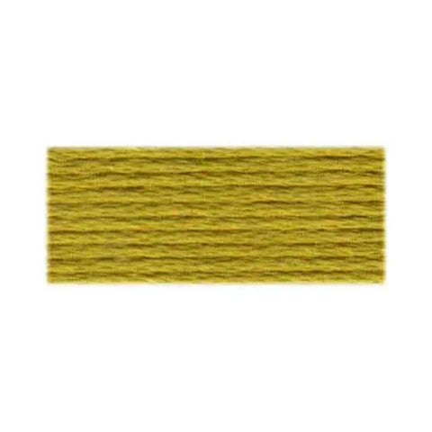 DMC Cotton Embroidery Floss - Yellow Green - Art Noise DMC Cotton Embroidery Floss - Yellow Green DMC Embroidery Floss art-noise.myshopify.com dmc-cotton-embroidery-floss-yellow-green DMC Cotton Embroidery Floss - Yellow Green DMC Embroidery Floss art-noise.myshopify.com dmc-cotton-embroidery-floss-yellow-green