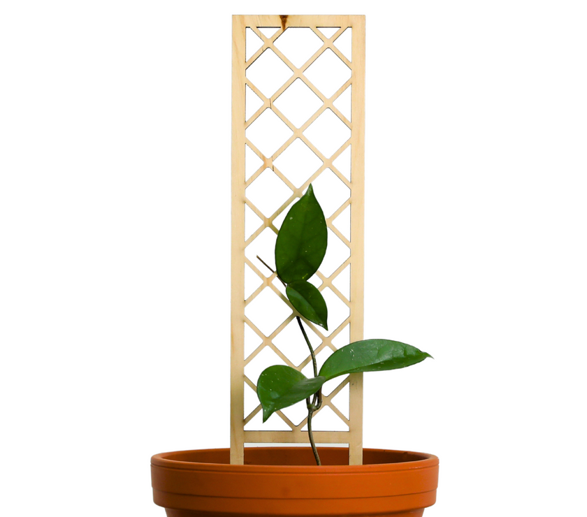 Cross-Hatch Wooden Trellis
