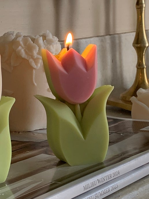 Tulip Candle Eloise and Oliver Decorative Candle art-noise.myshopify.com tulip-candle