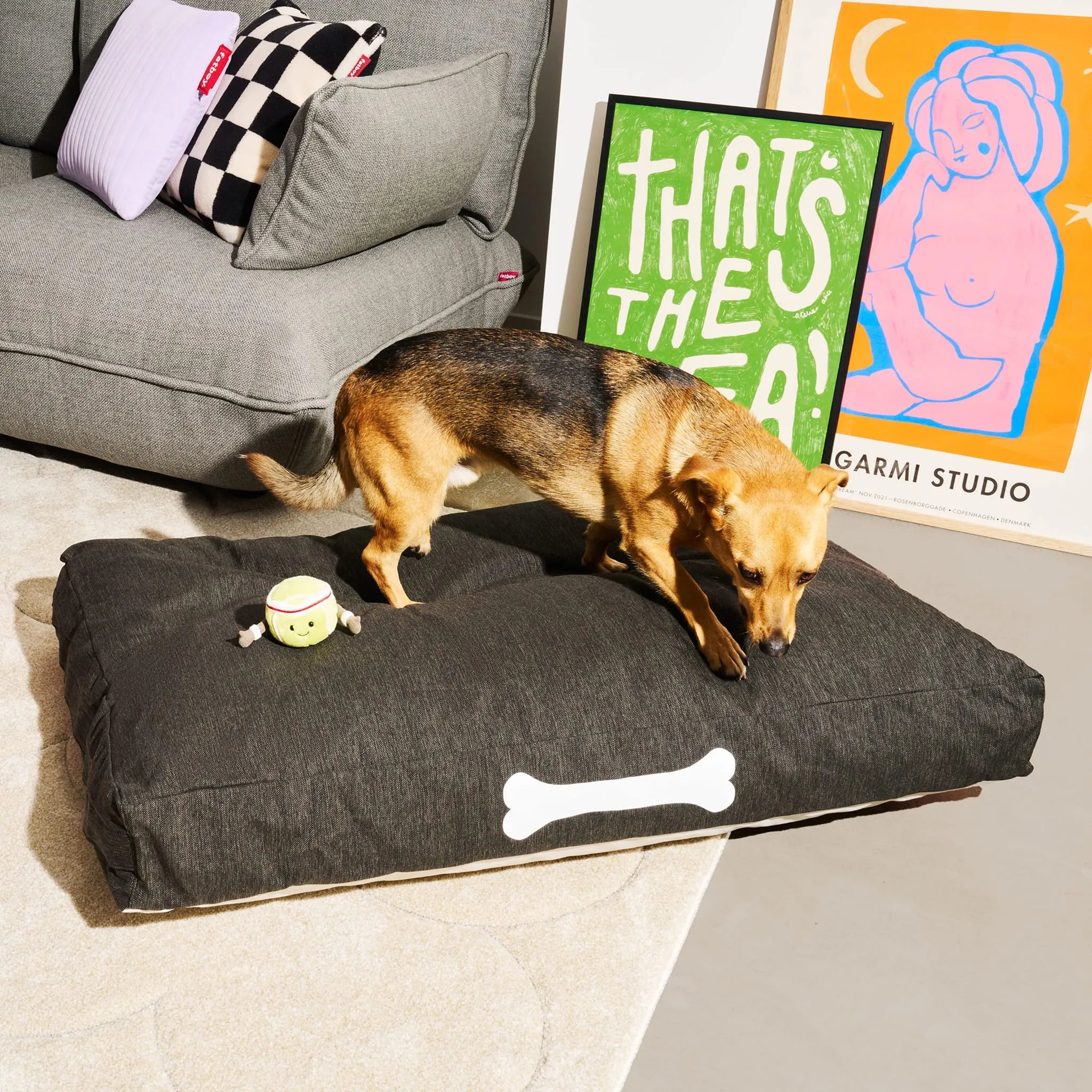 Doggielounge Olefin Nüline Distribution Dog Beds art-noise.myshopify.com doggielounge-olefin Doggielounge Olefin Nüline Distribution Dog Beds art-noise.myshopify.com doggielounge-olefin