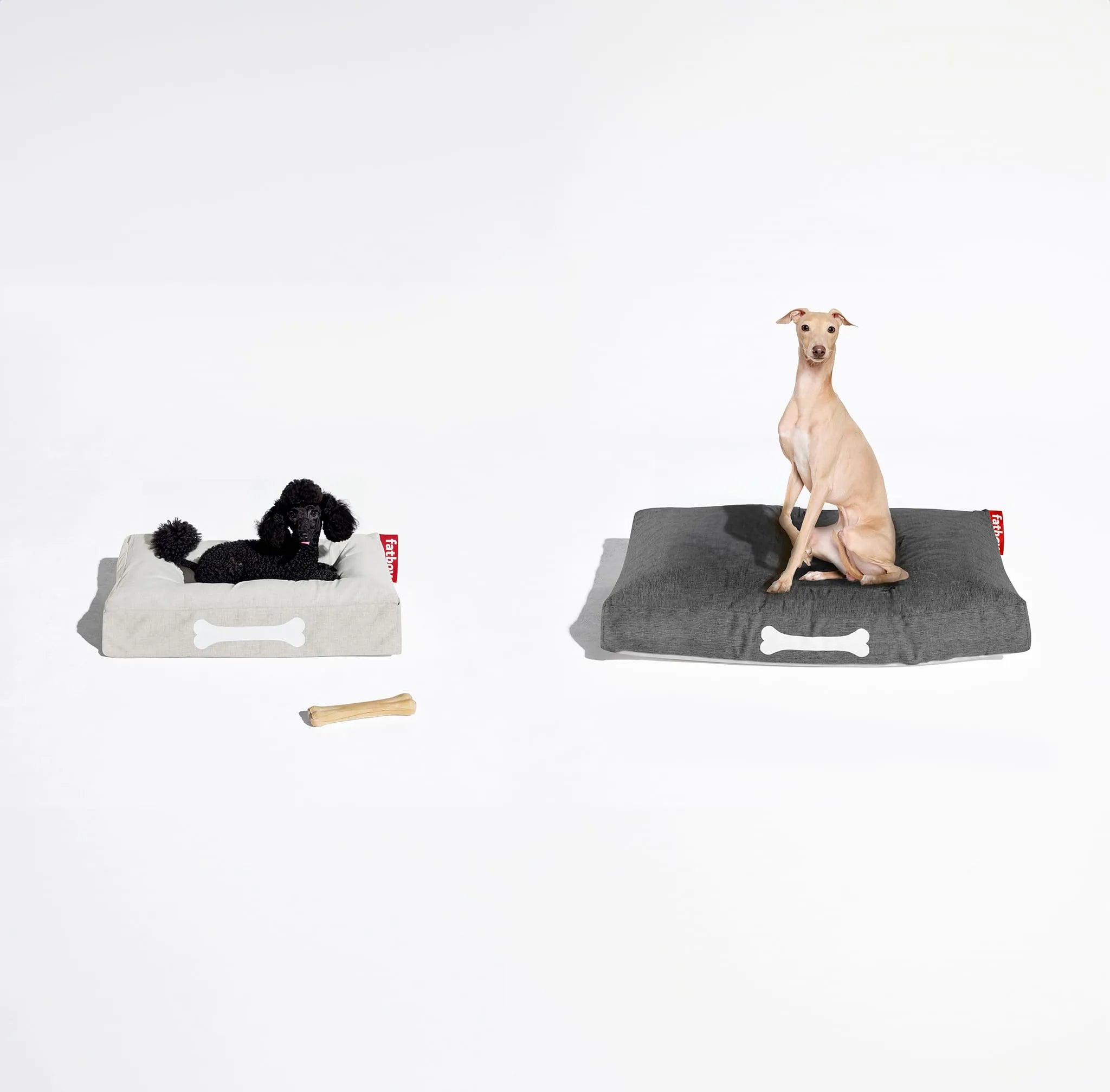 Doggielounge Olefin Nüline Distribution Dog Beds art-noise.myshopify.com doggielounge-olefin Doggielounge Olefin Nüline Distribution Dog Beds art-noise.myshopify.com doggielounge-olefin