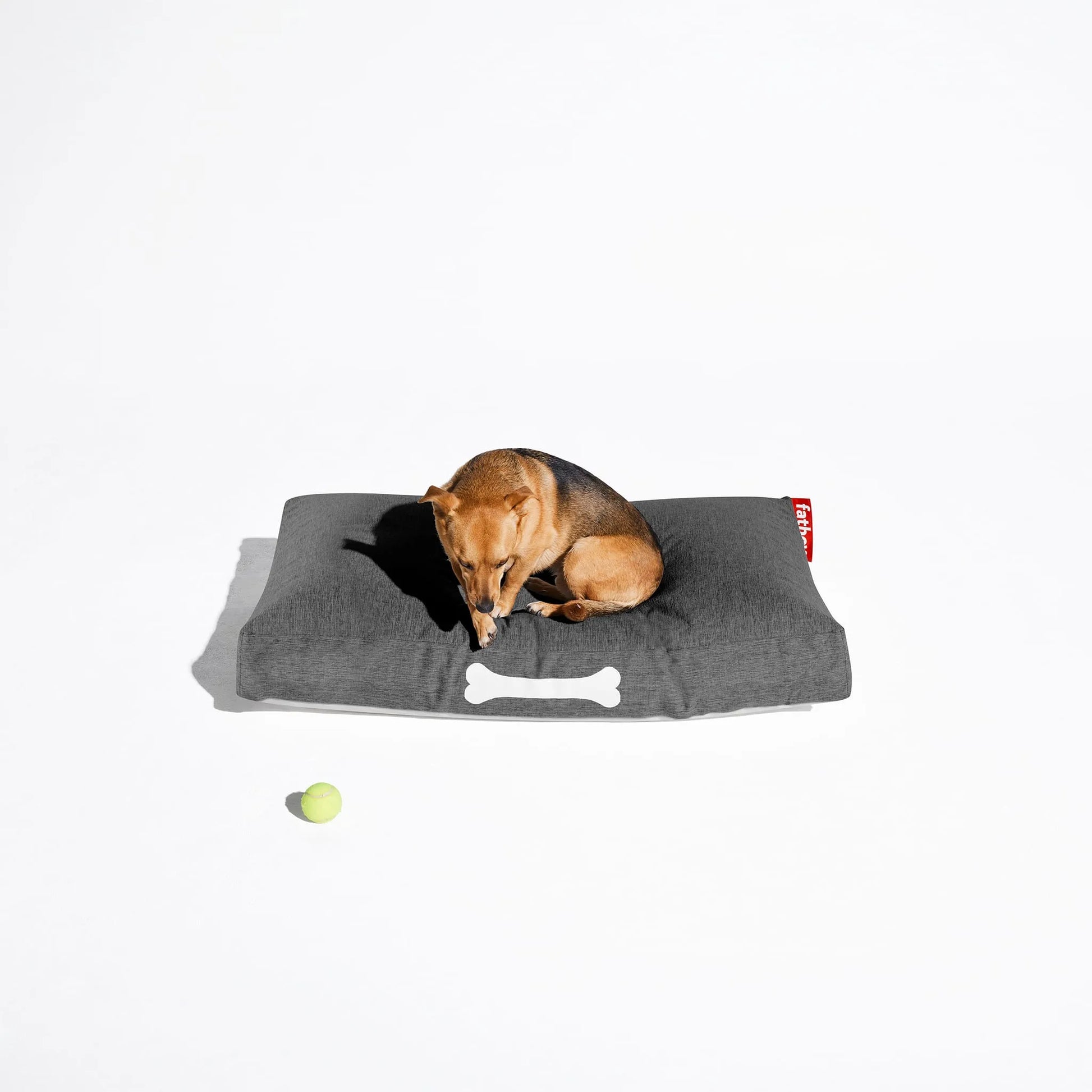 Doggielounge Olefin Nüline Distribution Dog Beds art-noise.myshopify.com doggielounge-olefin Doggielounge Olefin Nüline Distribution Dog Beds art-noise.myshopify.com doggielounge-olefin