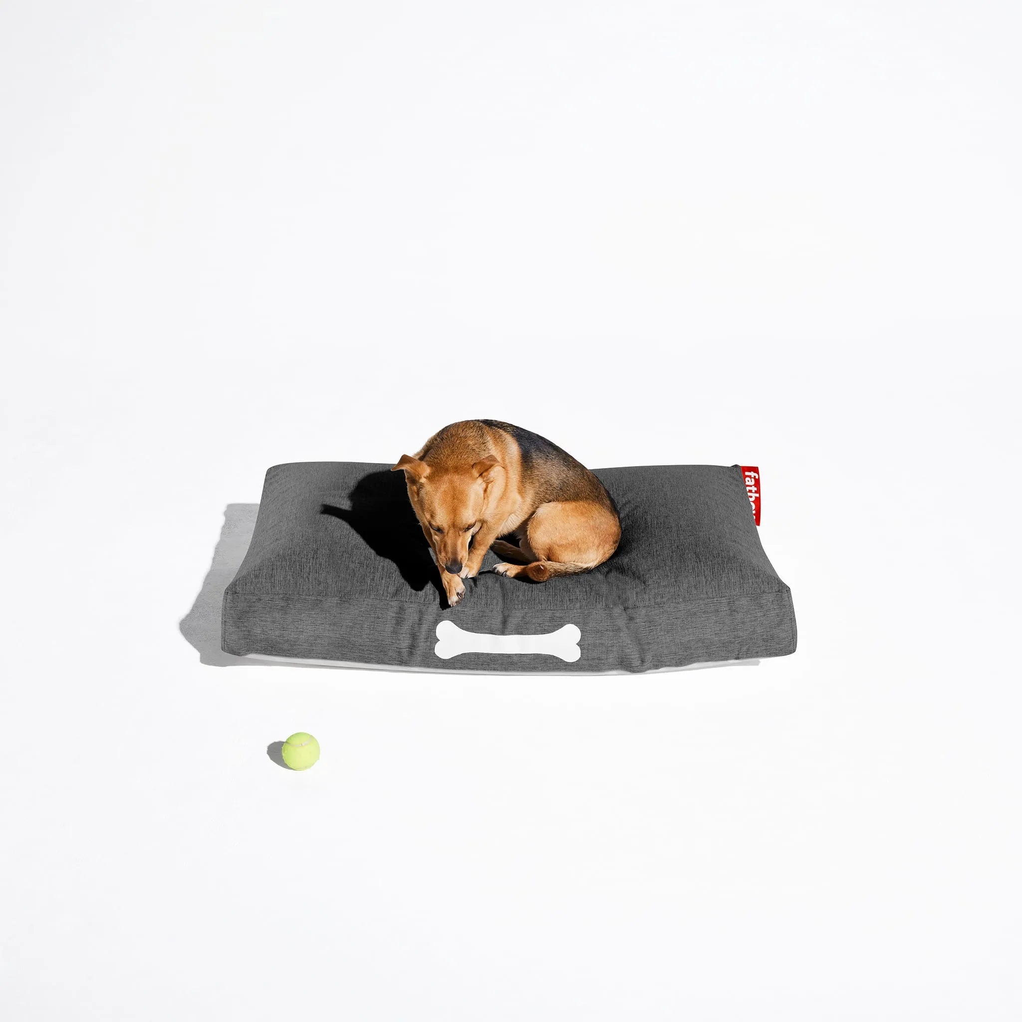 Doggielounge Olefin Nüline Distribution Dog Beds art-noise.myshopify.com doggielounge-olefin Doggielounge Olefin Nüline Distribution Dog Beds art-noise.myshopify.com doggielounge-olefin