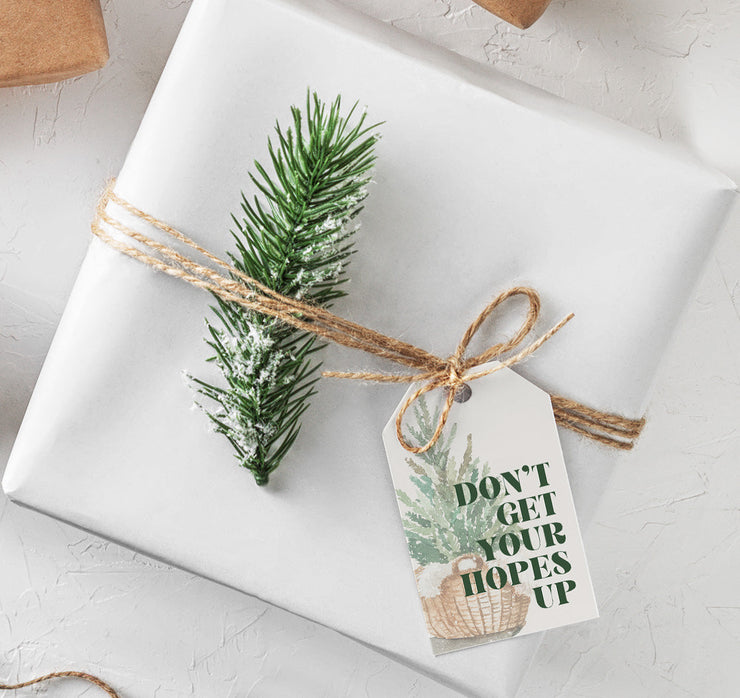 Don't get your hopes up Gift Tags