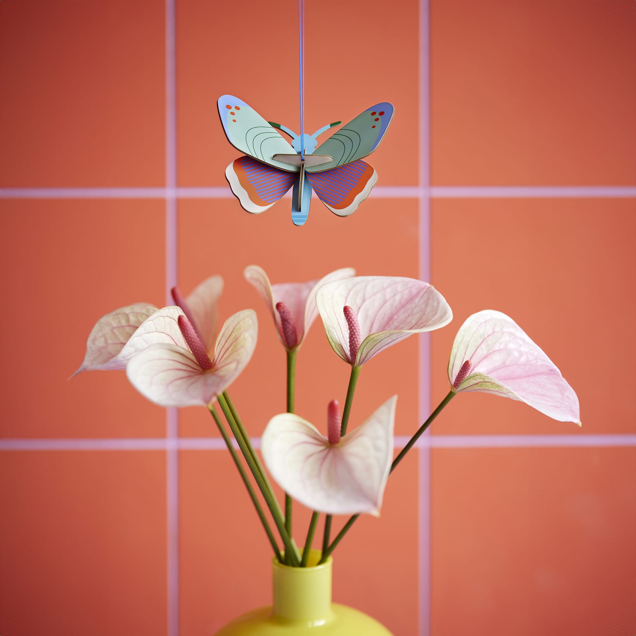 Dotted Butterfly