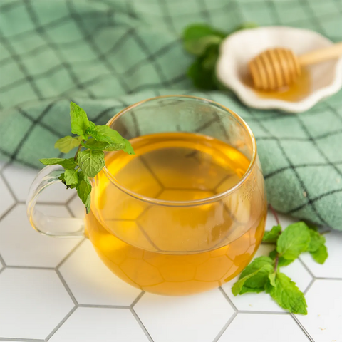 Organic Peppermint Tealish Herbal Tea art-noise.myshopify.com organic-peppermint Organic Peppermint Tealish Herbal Tea art-noise.myshopify.com organic-peppermint