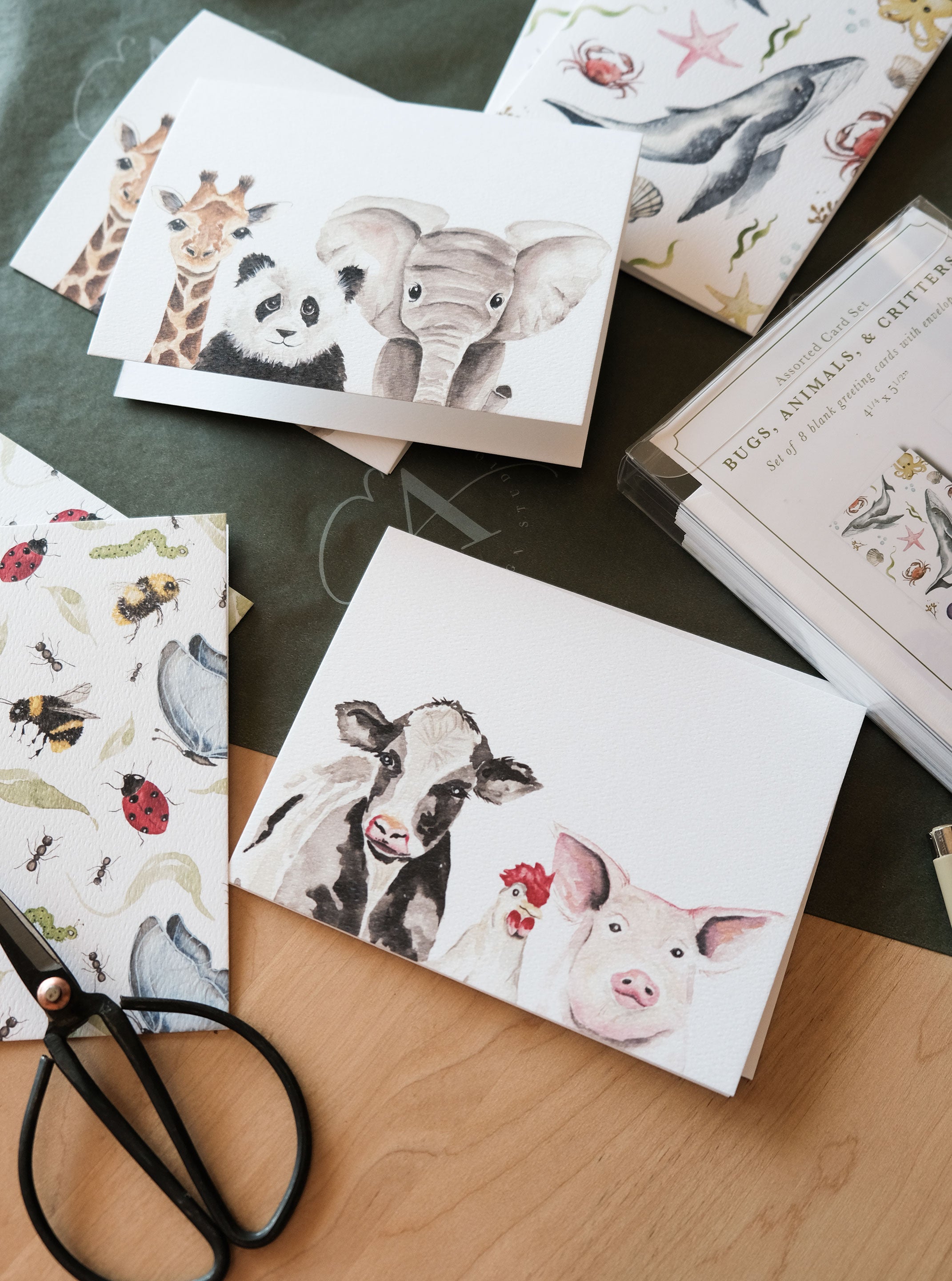 Bugs, Animals, & Critters - Assorted Card Set