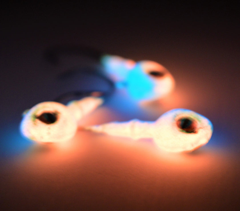 🍁Big Sky Snake Eye 1/4oz Glow Jigs 3/pack