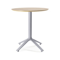 EEX Dining Table<br> Wooden Top<br> Indoor Use