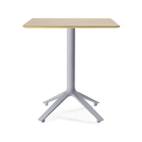 EEX Dining Table<br> Wooden Top<br> Indoor Use