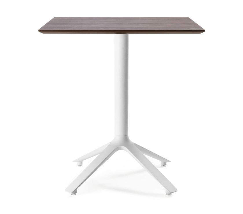 EEX Dining Table<br> Wooden Top<br> Indoor Use