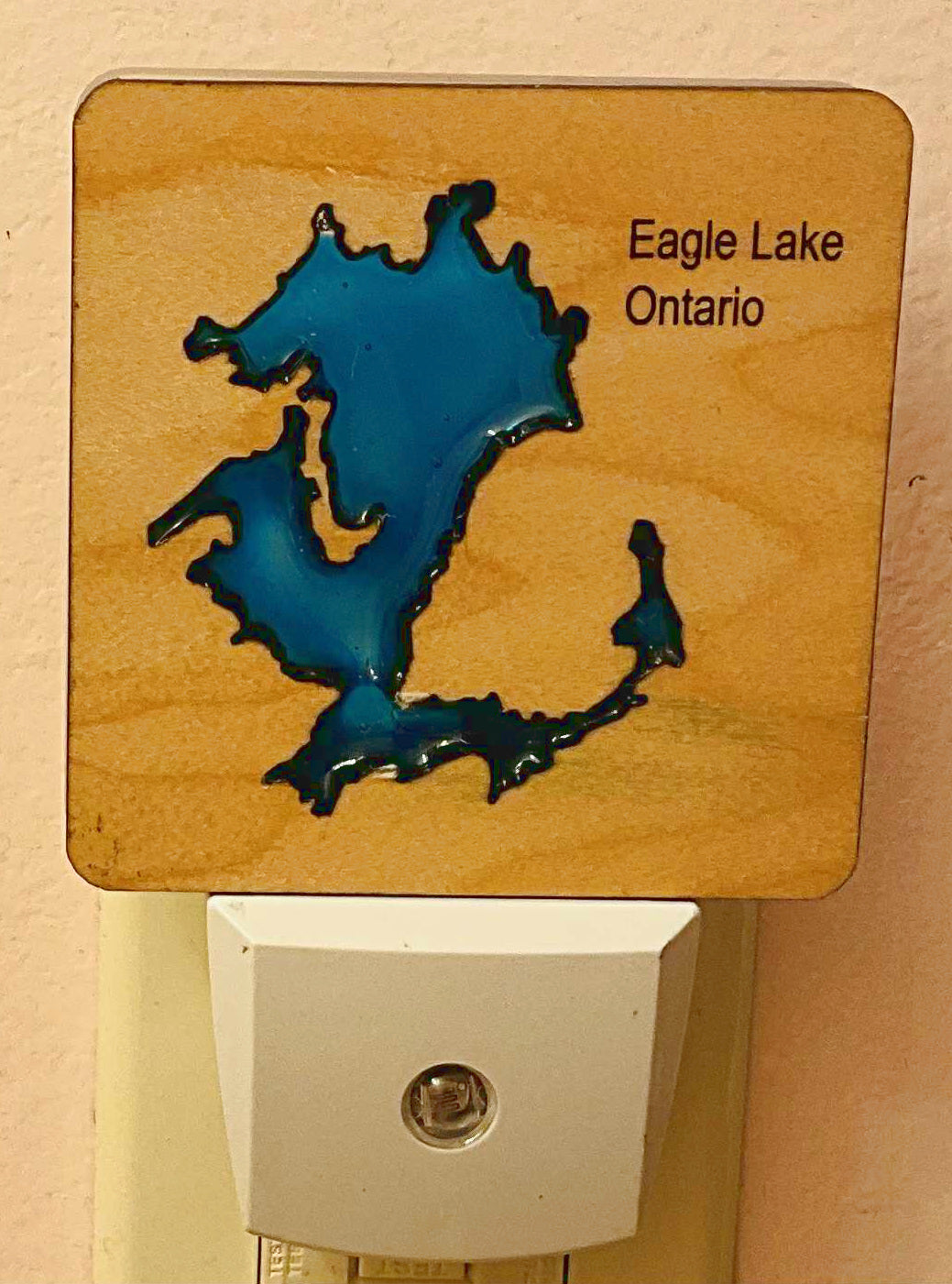 Eagle Lake Nightlight Jill Goodwin Night Lights & Ambient Lighting art-noise.myshopify.com eagle-lake-nightlight