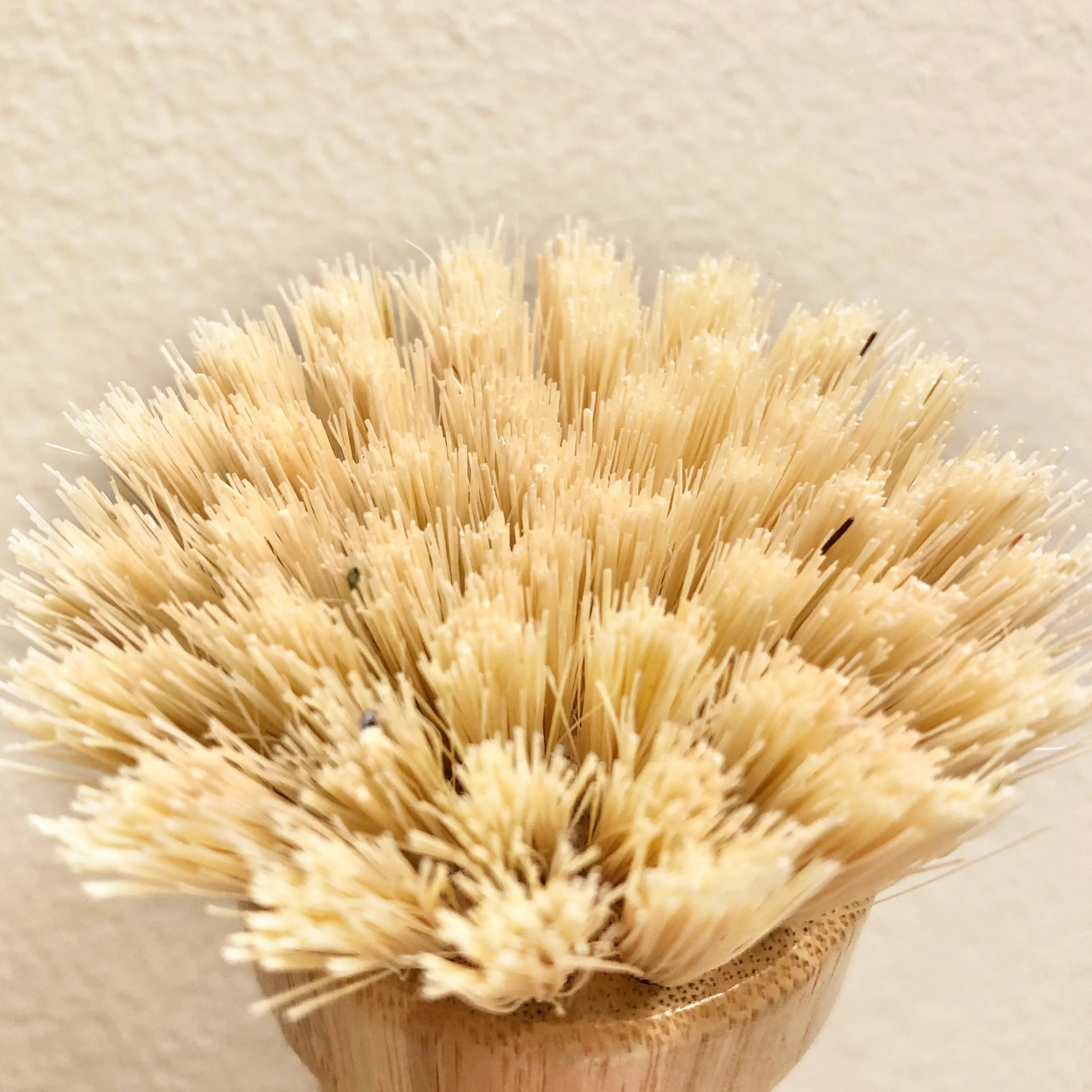  Bamboo Knob Scrubber Eco Beige Kitchen Cleaning art-noise.myshopify.com bamboo-knob-scrubber