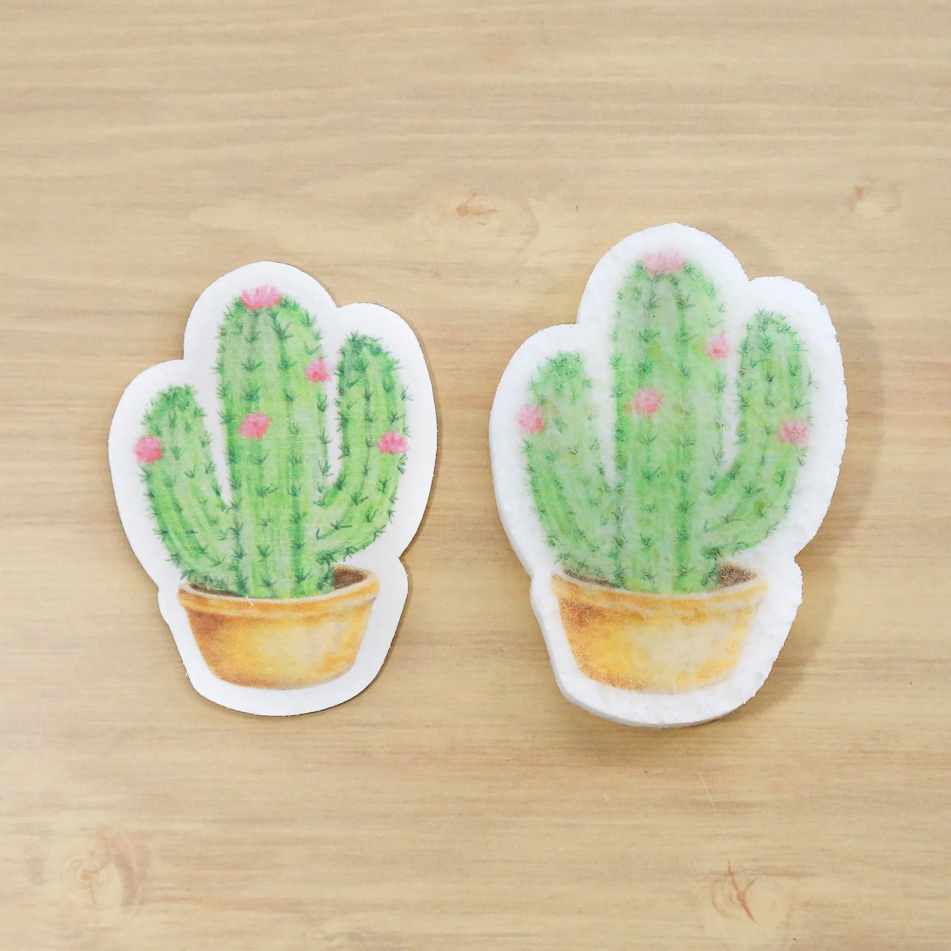  Cactus Pop Up Sponge Eco Beige Kitchen Cleaning art-noise.myshopify.com cactus-pop-up-sponge