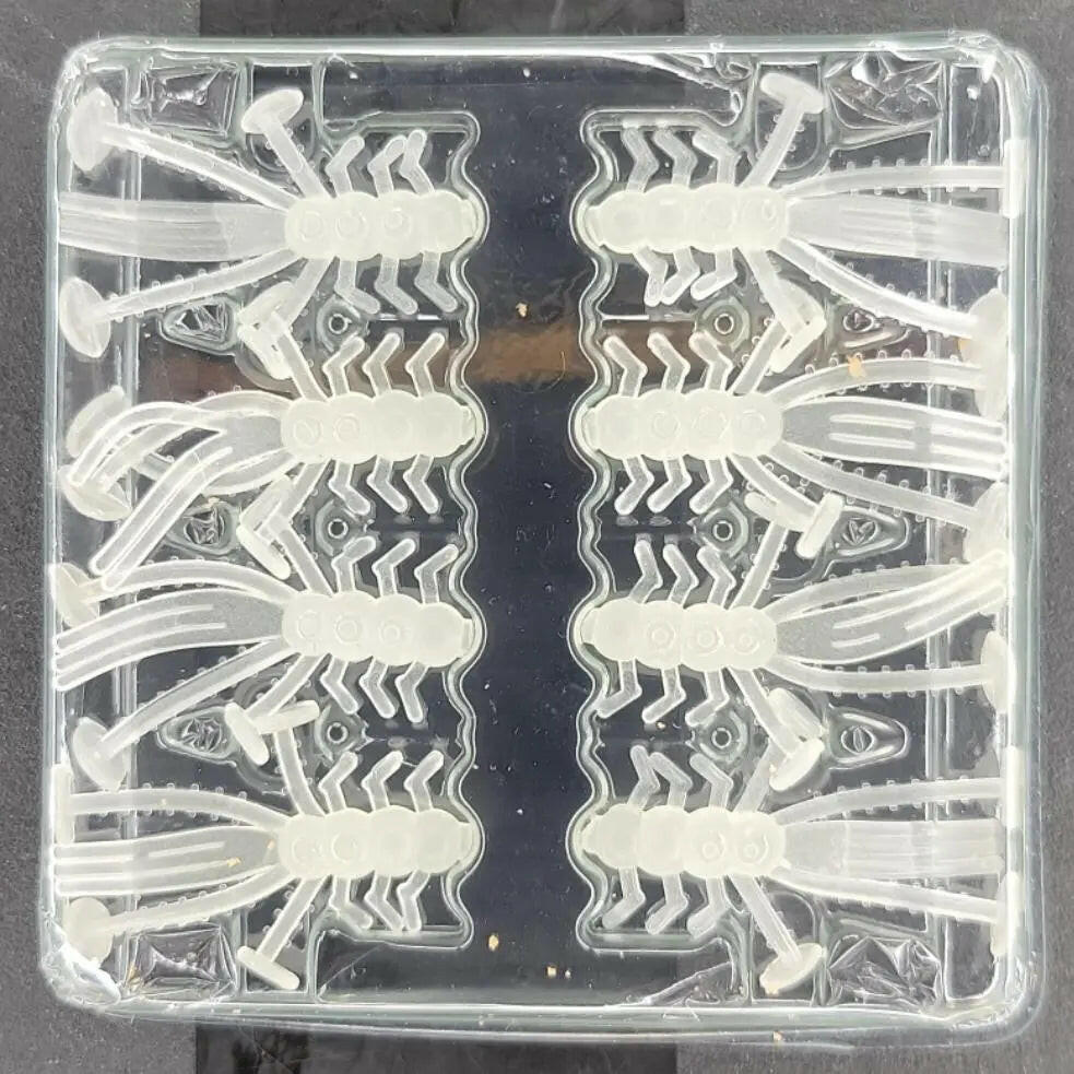 EuroTackle Crazy Critter Bait Superglow 8/pk Stony Tackle Shack Fishing Baits & Lures art-noise.myshopify.com eurotackle-crazy-critter-bait-superglow-8-pk