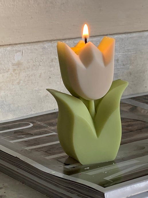 Tulip Candle Eloise and Oliver Decorative Candle art-noise.myshopify.com tulip-candle