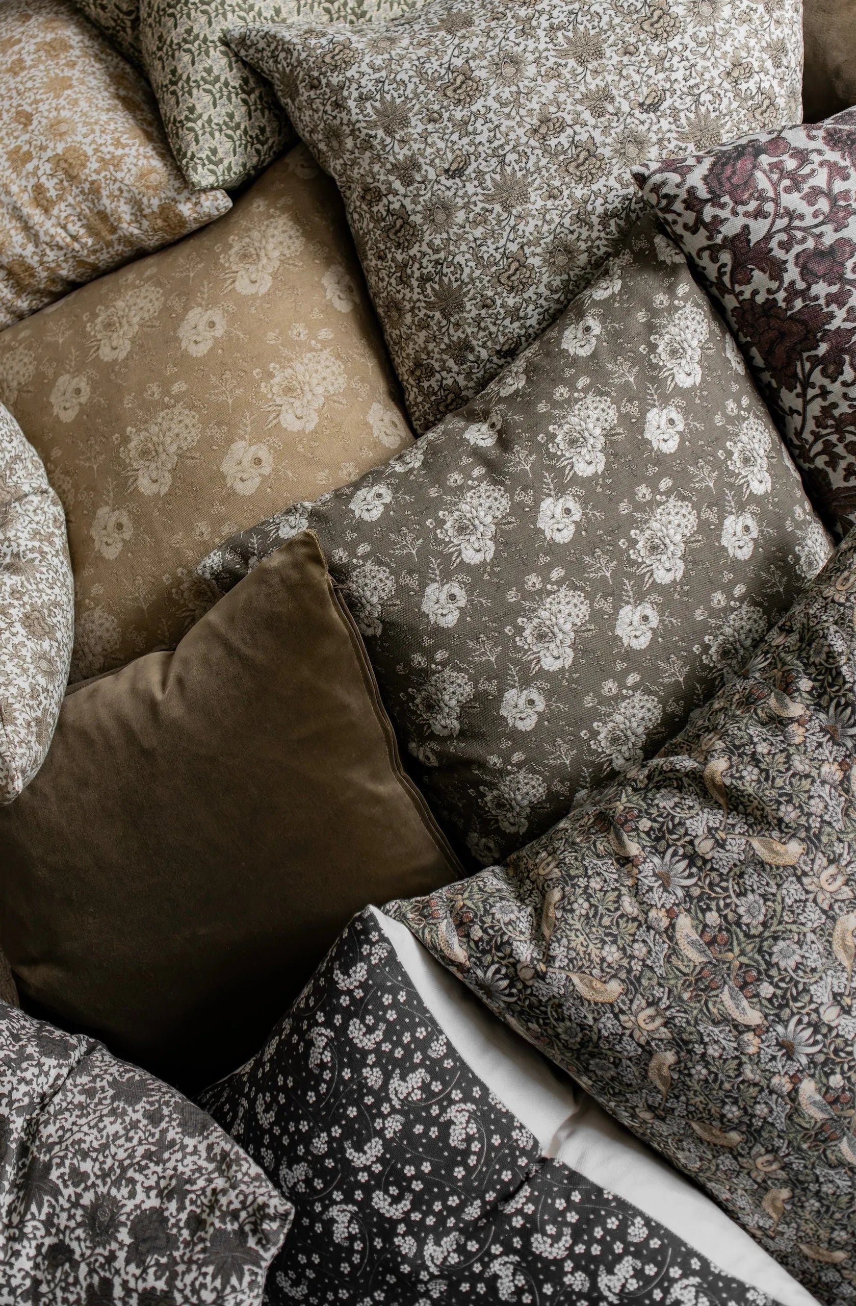 Olive | Velvet Pillow Cover Hyggely Cushions art-noise.myshopify.com olive-velvet-pillow-cover Olive | Velvet Pillow Cover Hyggely Cushions art-noise.myshopify.com olive-velvet-pillow-cover