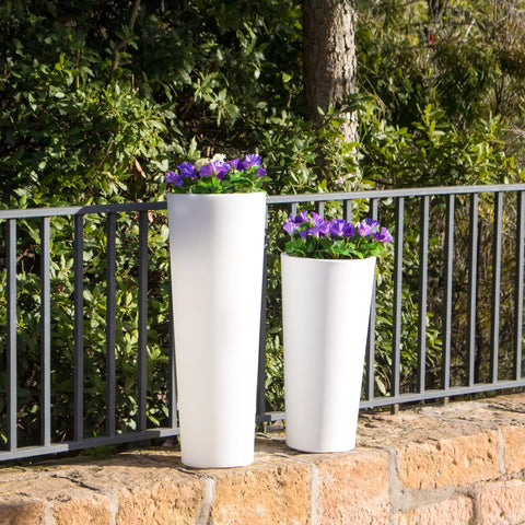 Ficus Nüline Distribution Pots & Planters art-noise.myshopify.com ficus Ficus Nüline Distribution Pots & Planters art-noise.myshopify.com ficus