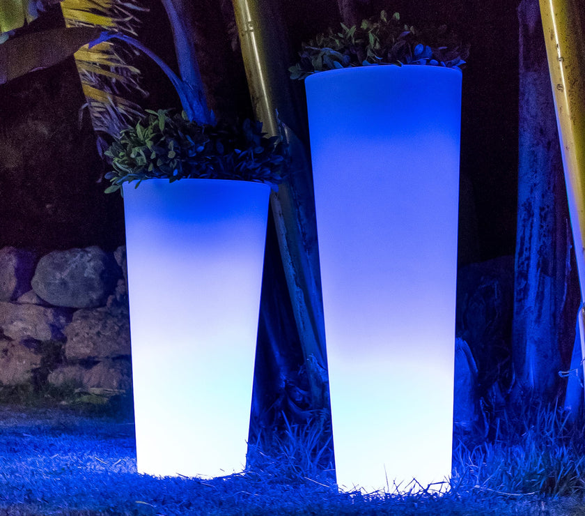 Ficus<br> Solar & Rechargeable