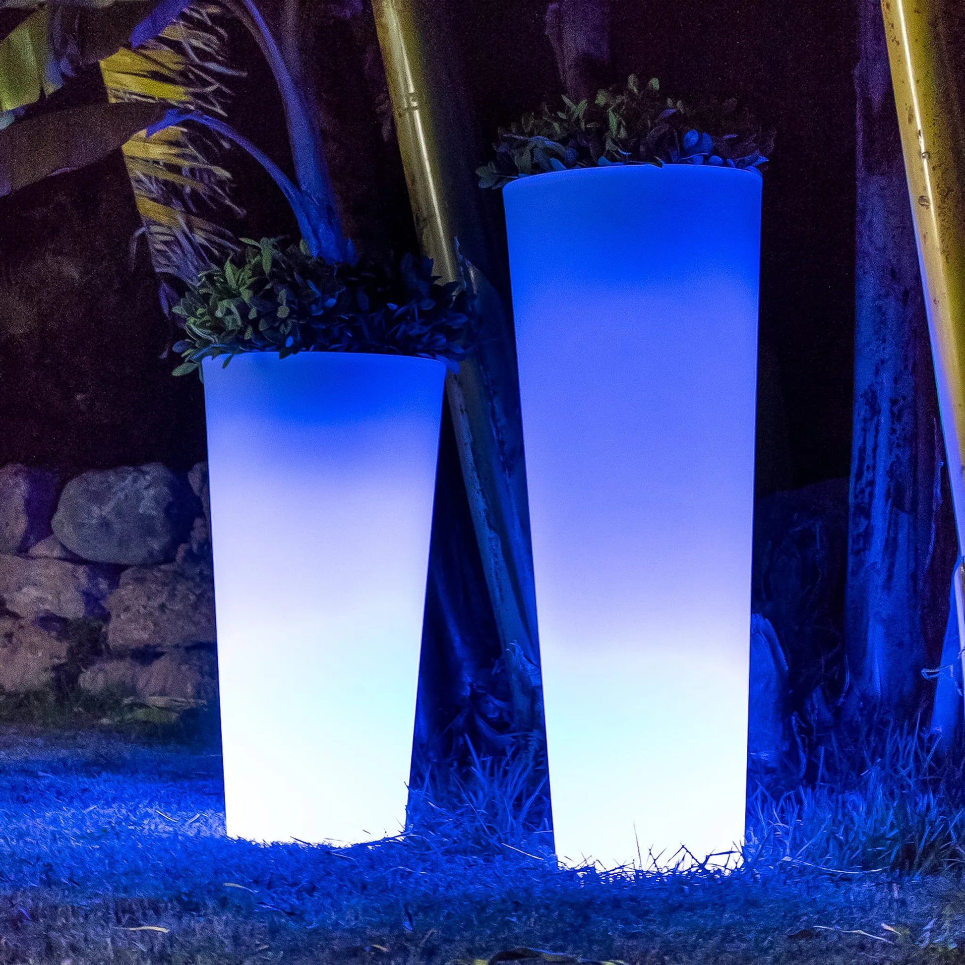 Ficus<br> Solar & Rechargeable Nüline Distribution Pots & Planters art-noise.myshopify.com ficus-br-solar-rechargeable Ficus<br> Solar & Rechargeable Nüline Distribution Pots & Planters art-noise.myshopify.com ficus-br-solar-rechargeable