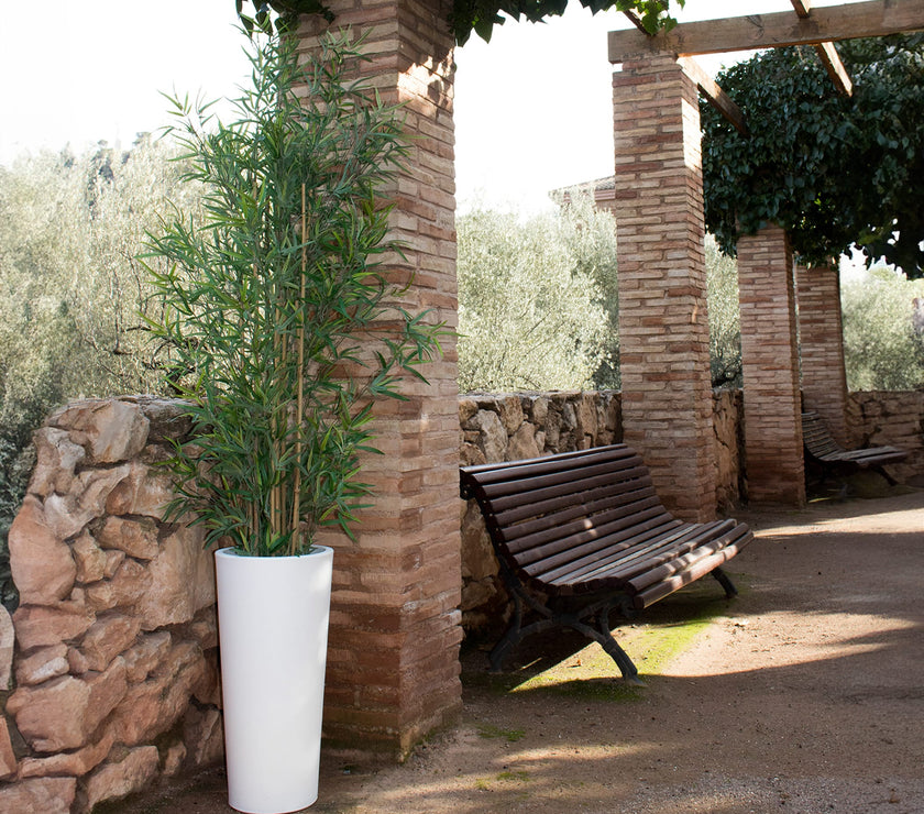 Ficus<br> Solar & Rechargeable