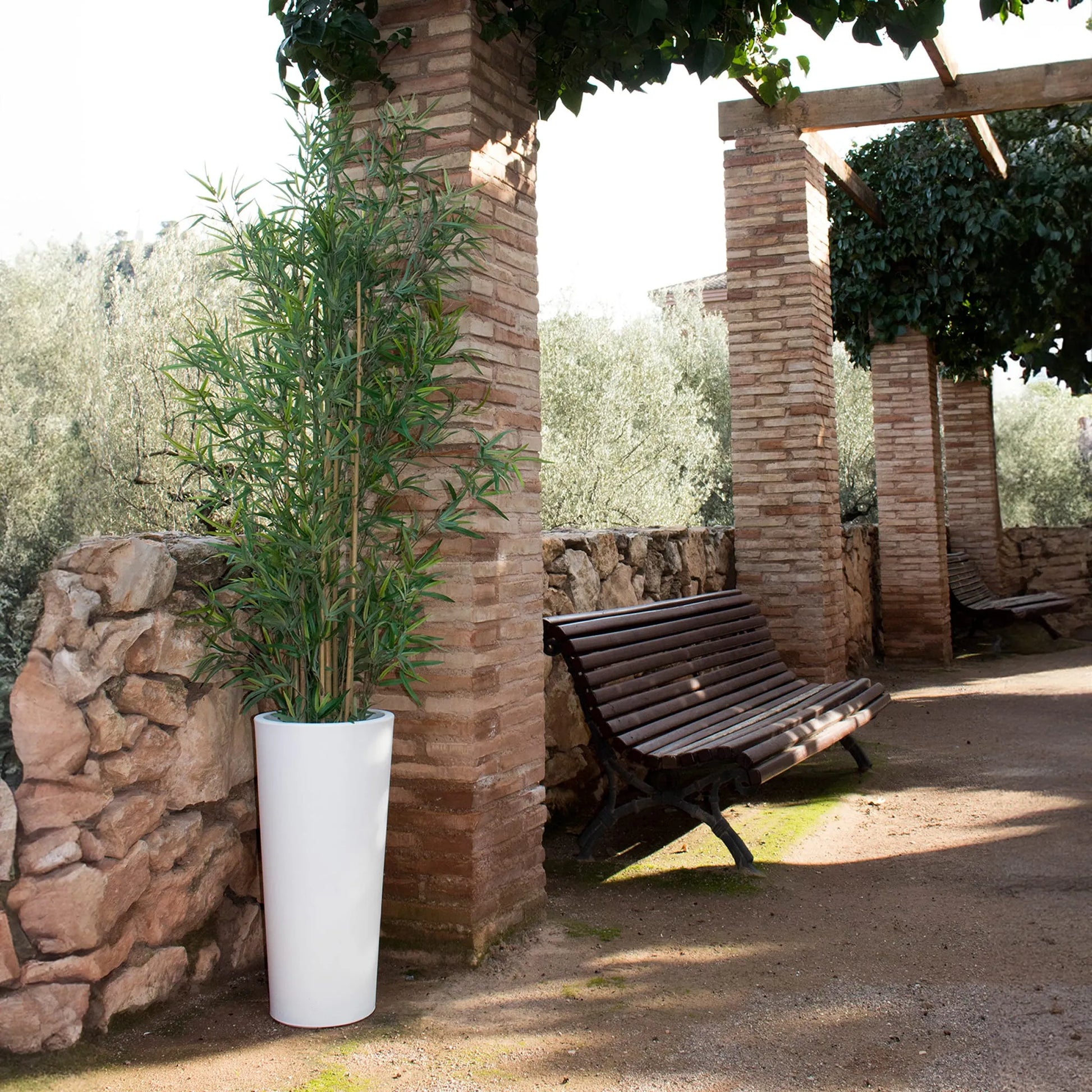 Ficus<br> Solar & Rechargeable Nüline Distribution Pots & Planters art-noise.myshopify.com ficus-br-solar-rechargeable Ficus<br> Solar & Rechargeable Nüline Distribution Pots & Planters art-noise.myshopify.com ficus-br-solar-rechargeable