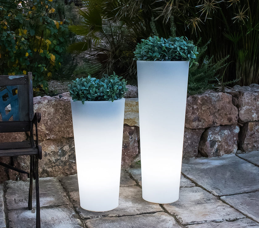 Ficus<br> Solar & Rechargeable