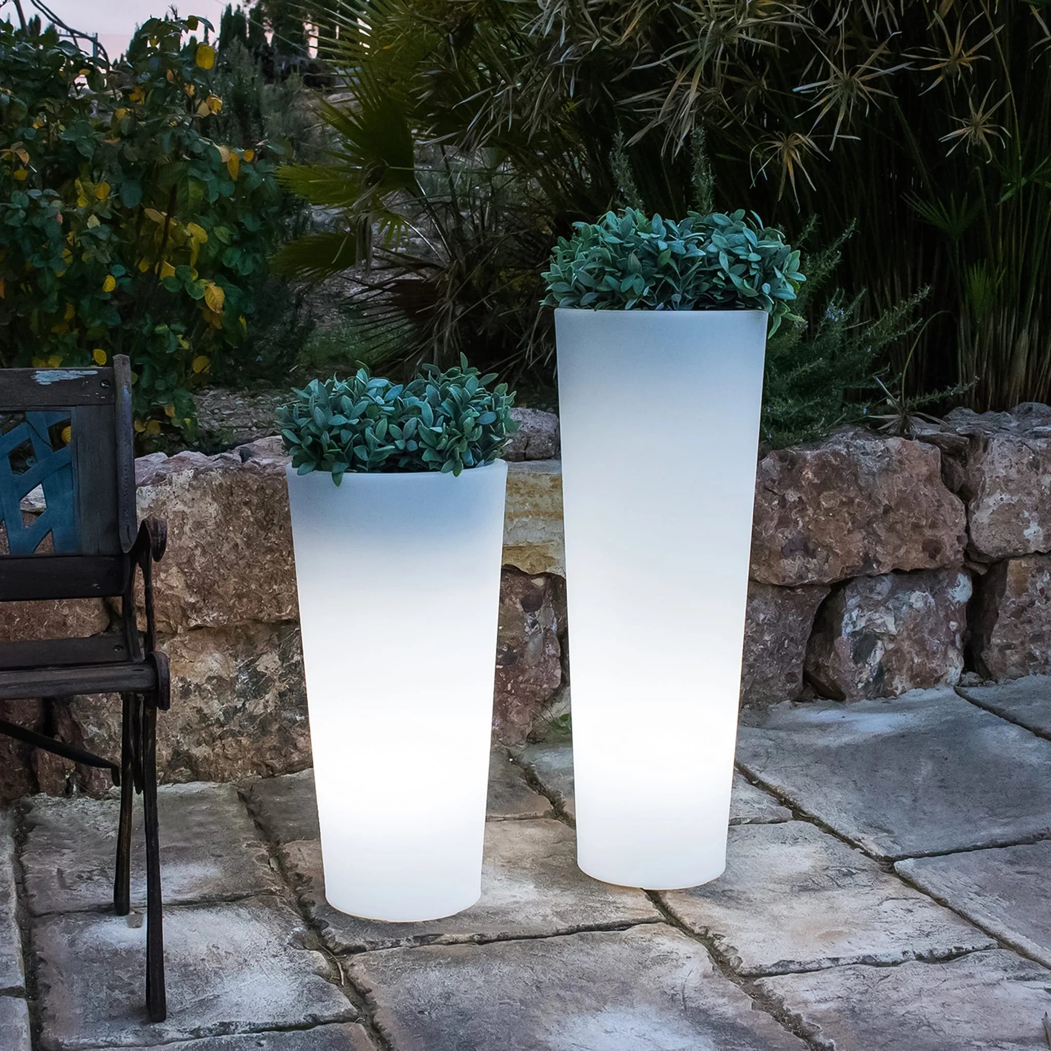 Ficus<br> Solar & Rechargeable Nüline Distribution Pots & Planters art-noise.myshopify.com ficus-br-solar-rechargeable Ficus<br> Solar & Rechargeable Nüline Distribution Pots & Planters art-noise.myshopify.com ficus-br-solar-rechargeable