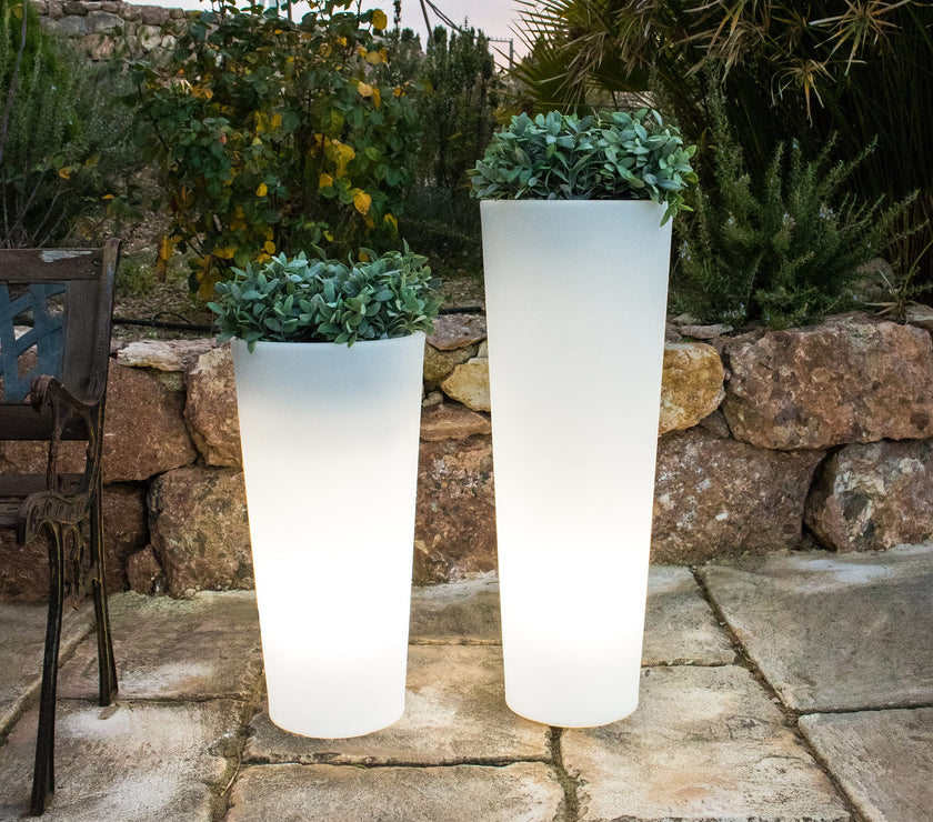 Ficus<br> Solar & Rechargeable