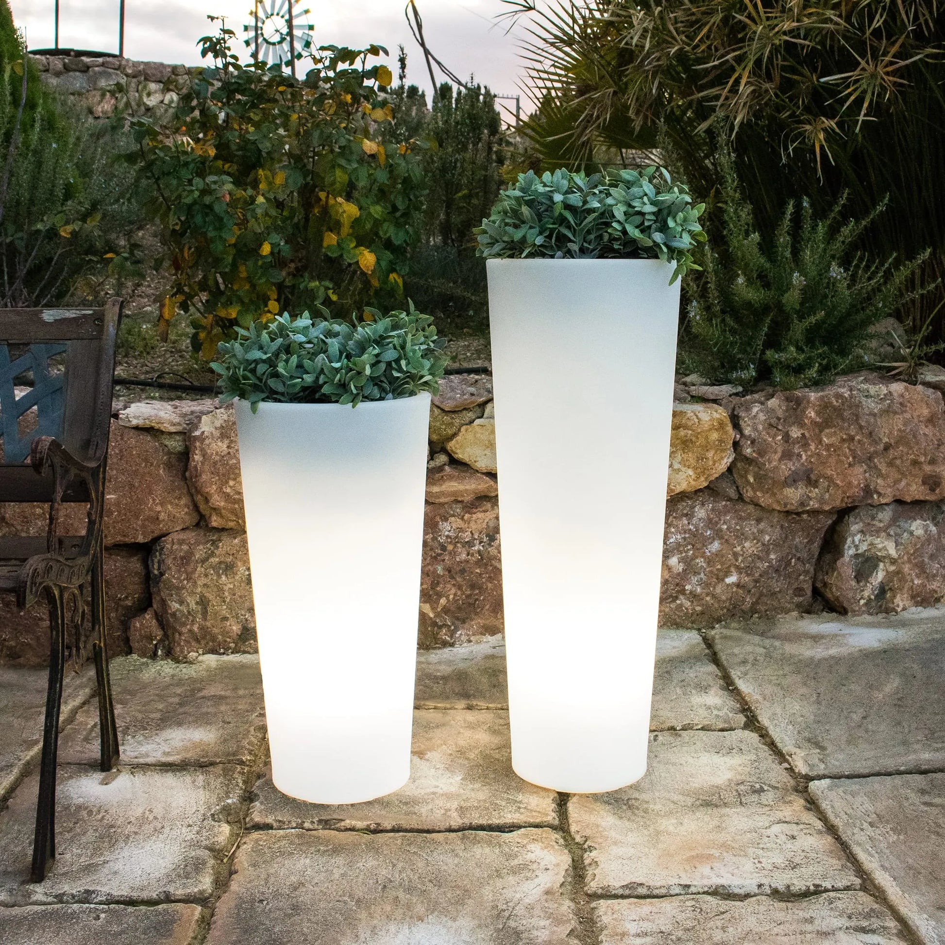 Ficus<br> Solar & Rechargeable Nüline Distribution Pots & Planters art-noise.myshopify.com ficus-br-solar-rechargeable Ficus<br> Solar & Rechargeable Nüline Distribution Pots & Planters art-noise.myshopify.com ficus-br-solar-rechargeable