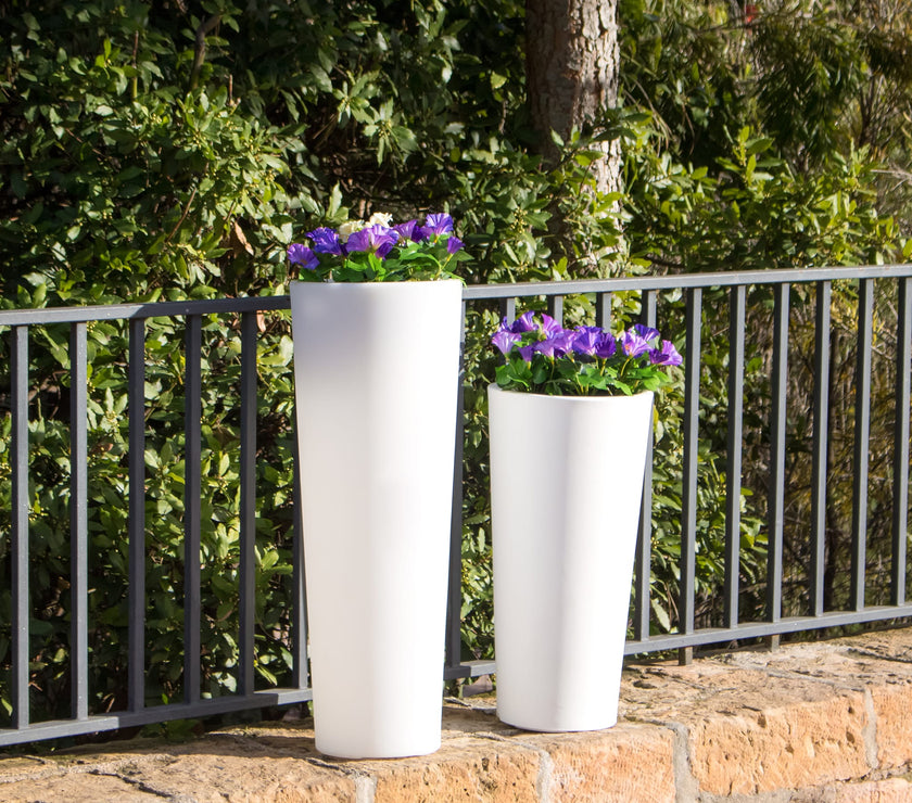 Ficus<br> Solar & Rechargeable