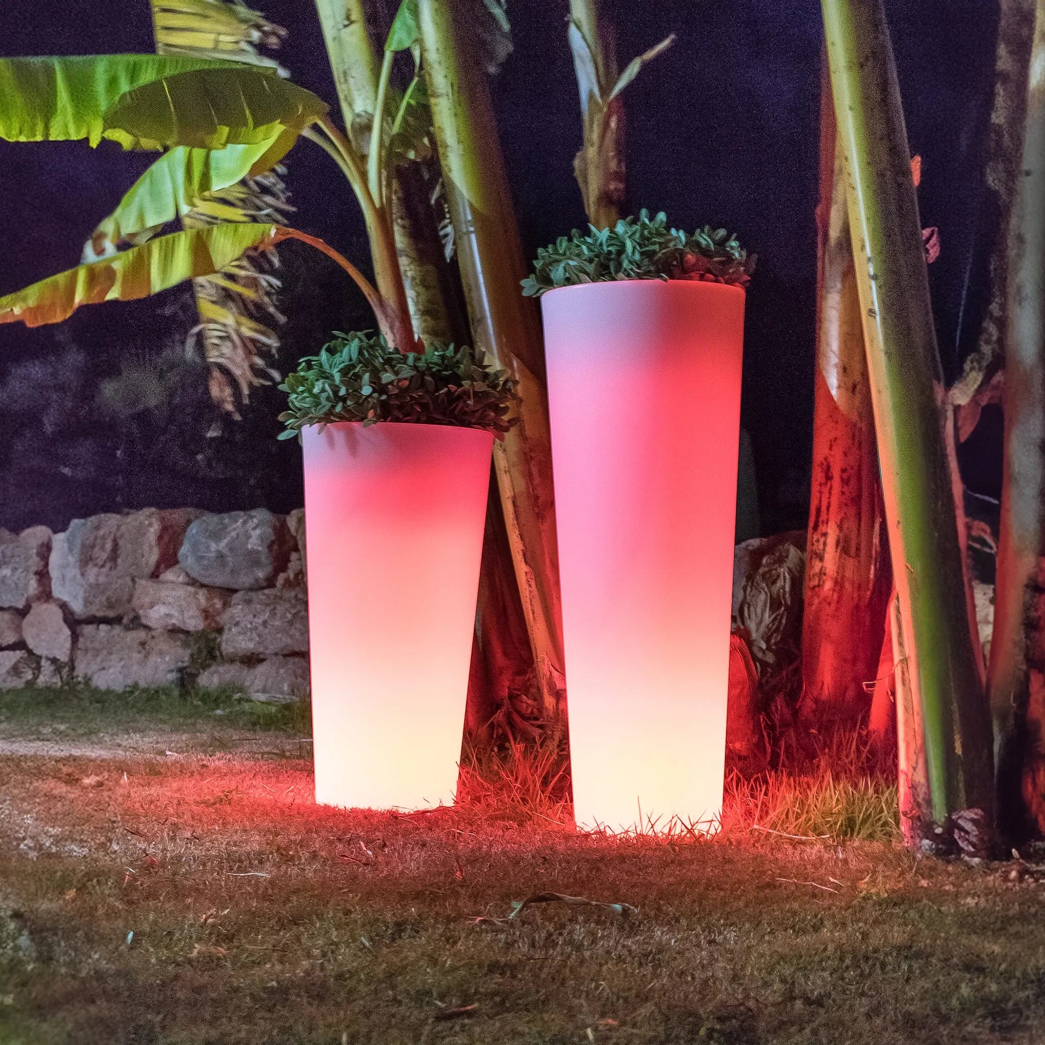 Ficus<br> Solar & Rechargeable Nüline Distribution Pots & Planters art-noise.myshopify.com ficus-br-solar-rechargeable Ficus<br> Solar & Rechargeable Nüline Distribution Pots & Planters art-noise.myshopify.com ficus-br-solar-rechargeable