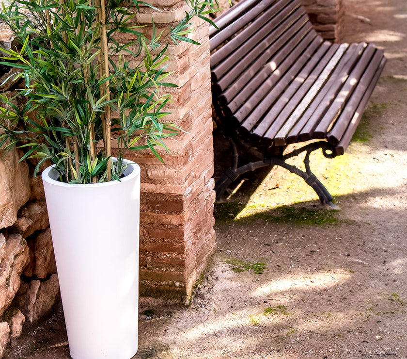 Ficus<br> Solar & Rechargeable
